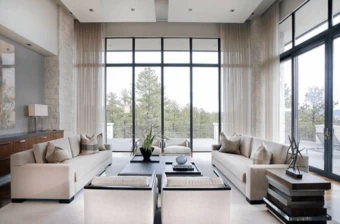 Французькі вікна: види та характеристики