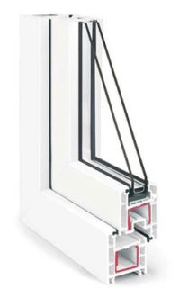 SALAMANDER DESIGN 2D