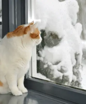 Что такое теплый монтаж и для чего он нужен? 1