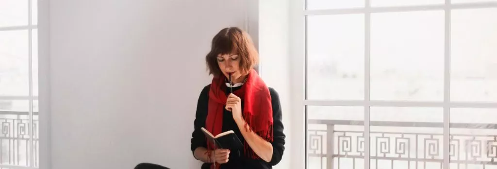 Вікна з шпросами та фальшпереплетом Київ – продаж та монтаж 3